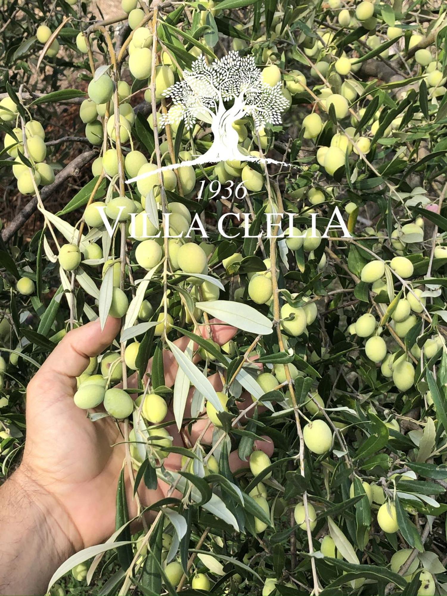 Il Palmento Di Villa Clelia 1936 Locri Dış mekan fotoğraf